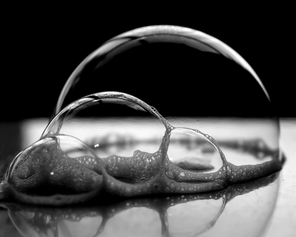 Photography by binkyat3 for DesignCrowd (Community Contests) | Design #9071327