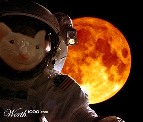 Photoshop Design by horsefreer