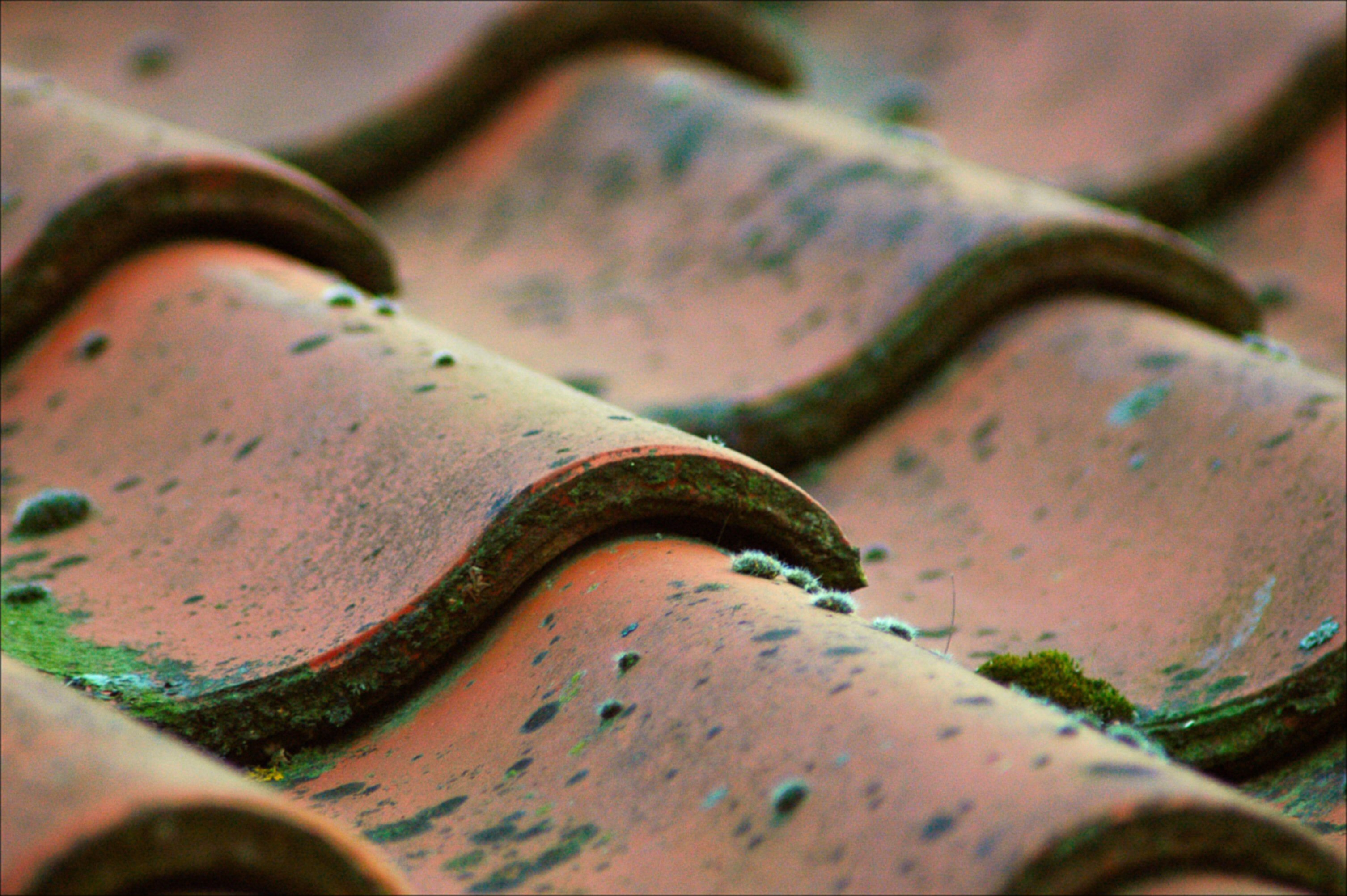 Fotografía por Marian para DesignCrowd (Community Contests) | Diseño #9071348