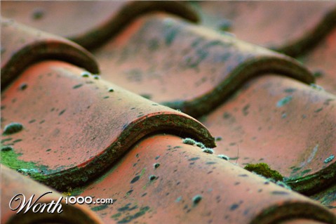 Photography by Marian