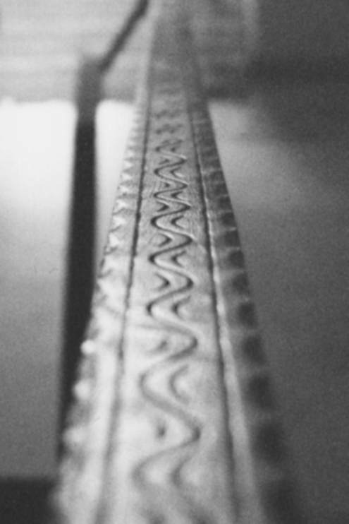 Photography by funcky for DesignCrowd (Community Contests) | Design #9071343