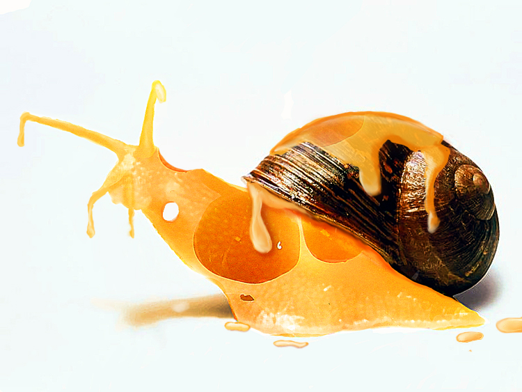 Photoshop Design by chris_ for DesignCrowd (Community Contests) | Design #9092959