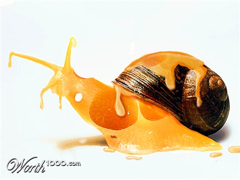 Photoshop Design by chris_