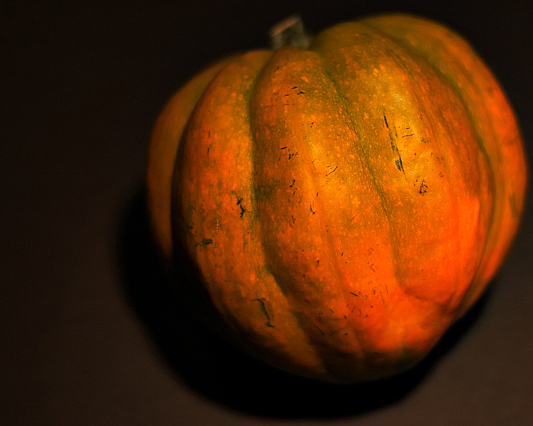 Photography by borbor for DesignCrowd (Community Contests) | Design #9093817