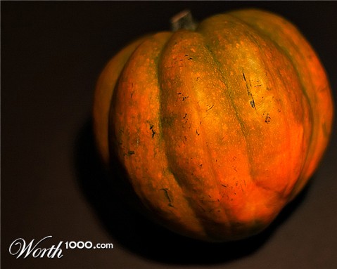 Photography by borbor