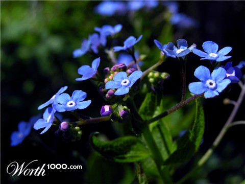 Photography by Naitsab