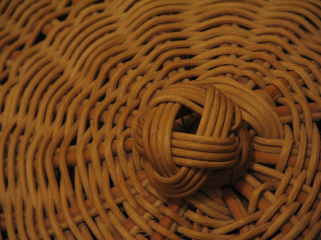 Photography by Djinny for DesignCrowd (Community Contests) | Design #9071360