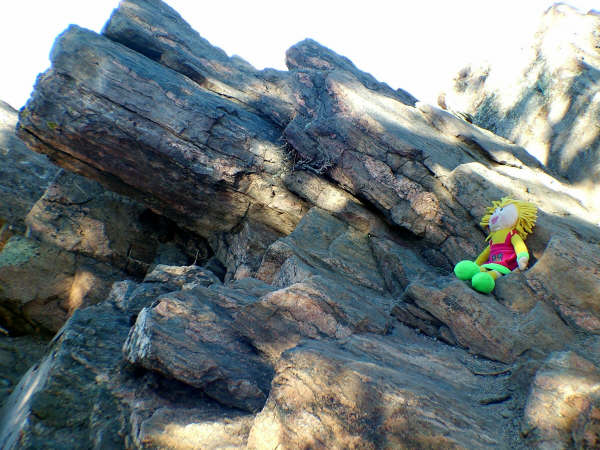 Fotografie von mmc9496 für DesignCrowd (Community Contests) | Design #9089004