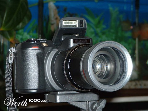 Photography by mmc9496