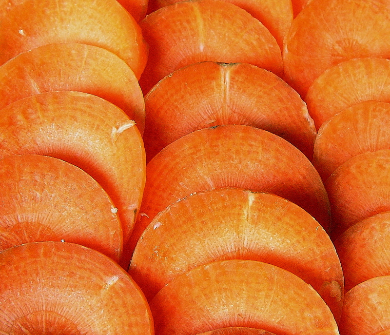 Photography by mzmzmzmz for DesignCrowd (Community Contests) | Design #9093865