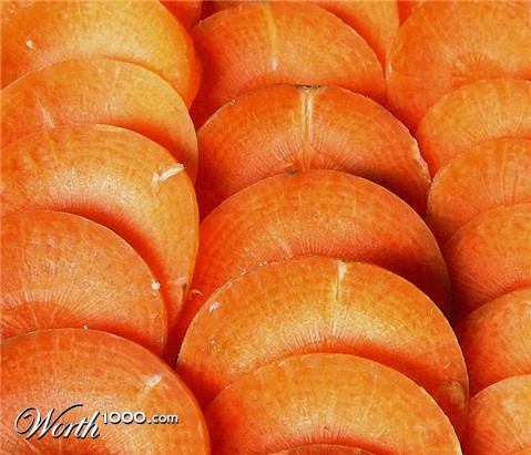 Photography by mzmzmzmz