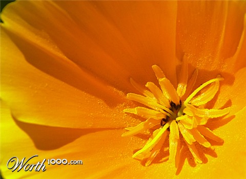 Photography by paparouna