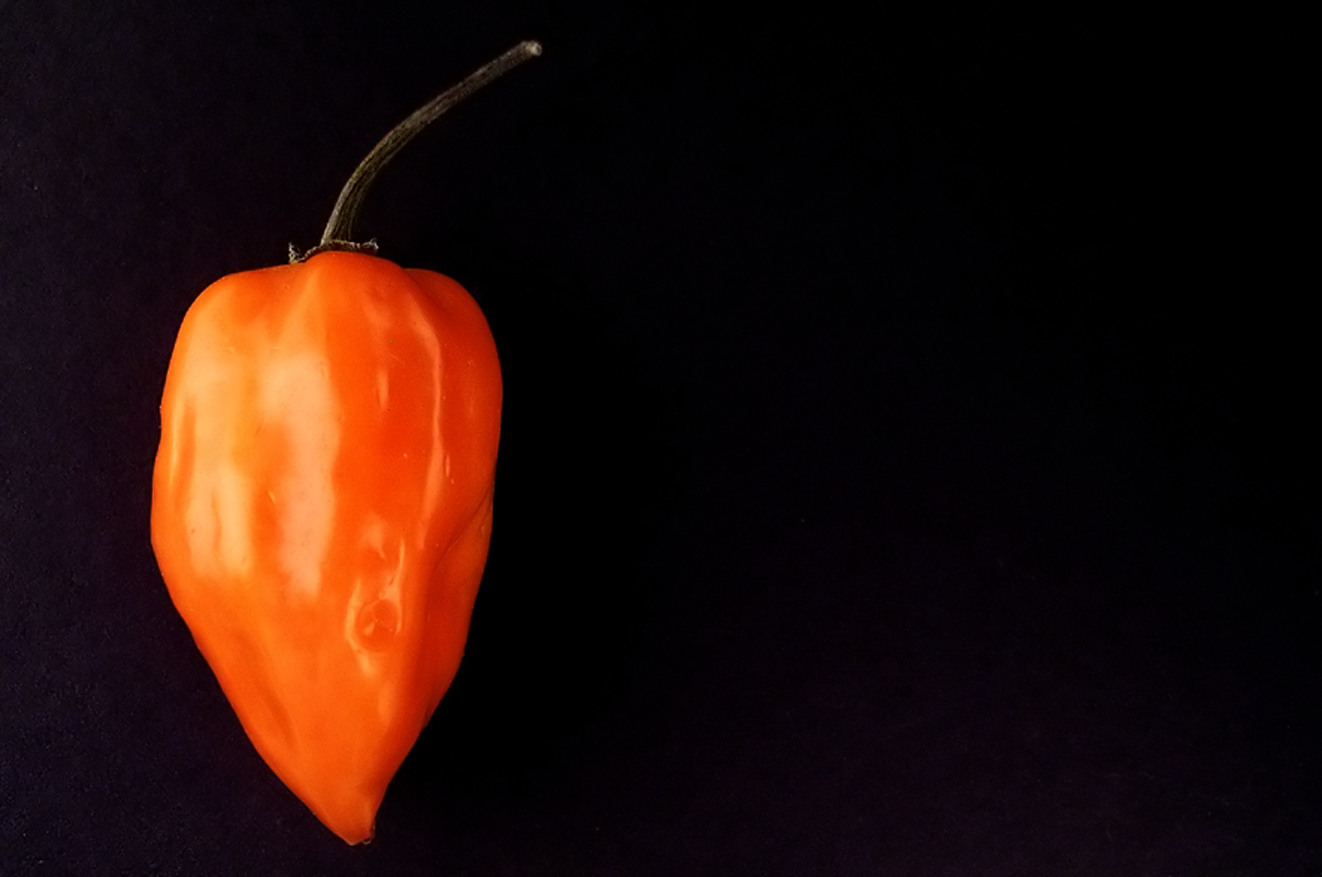 Photography by xakpeet for DesignCrowd (Community Contests) | Design #9093828