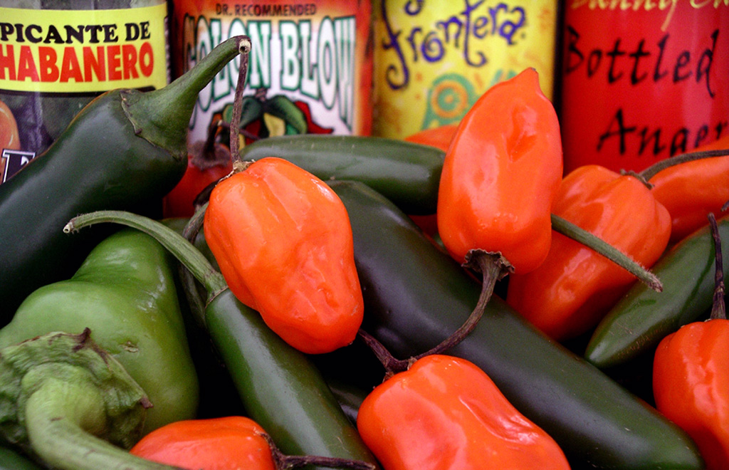 Photography by xakpeet for DesignCrowd (Community Contests) | Design #9089640