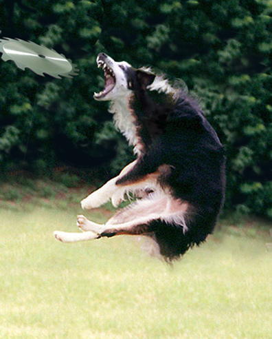 Diseño de Photoshop por narcosleepy para DesignCrowd (Community Contests) | Diseño #9091652