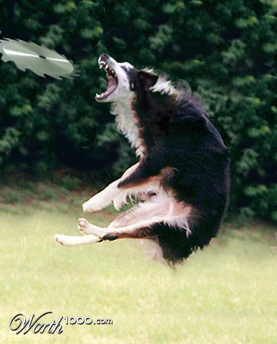 Photoshop Design by narcosleepy