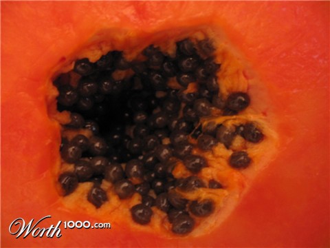 Photography by BabyGRL