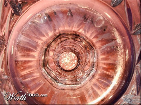 Photography by MrsFuzzButt