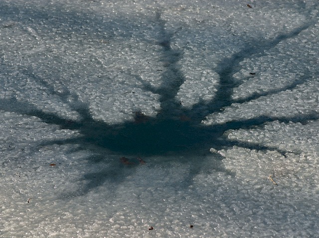 Photographie par KarenC pour DesignCrowd (Community Contests) | Design #9088918