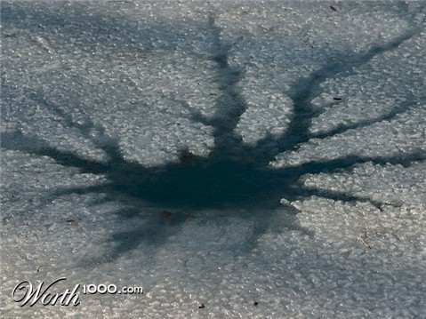 Photography by KarenC