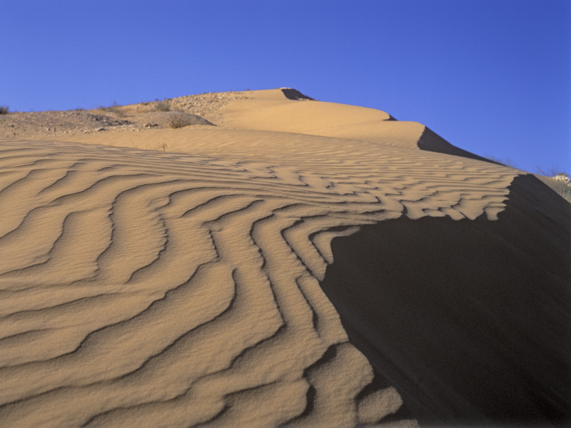 Photographie par SamHuibers pour DesignCrowd (Community Contests) | Design #9071448