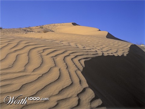 Photography by SamHuibers