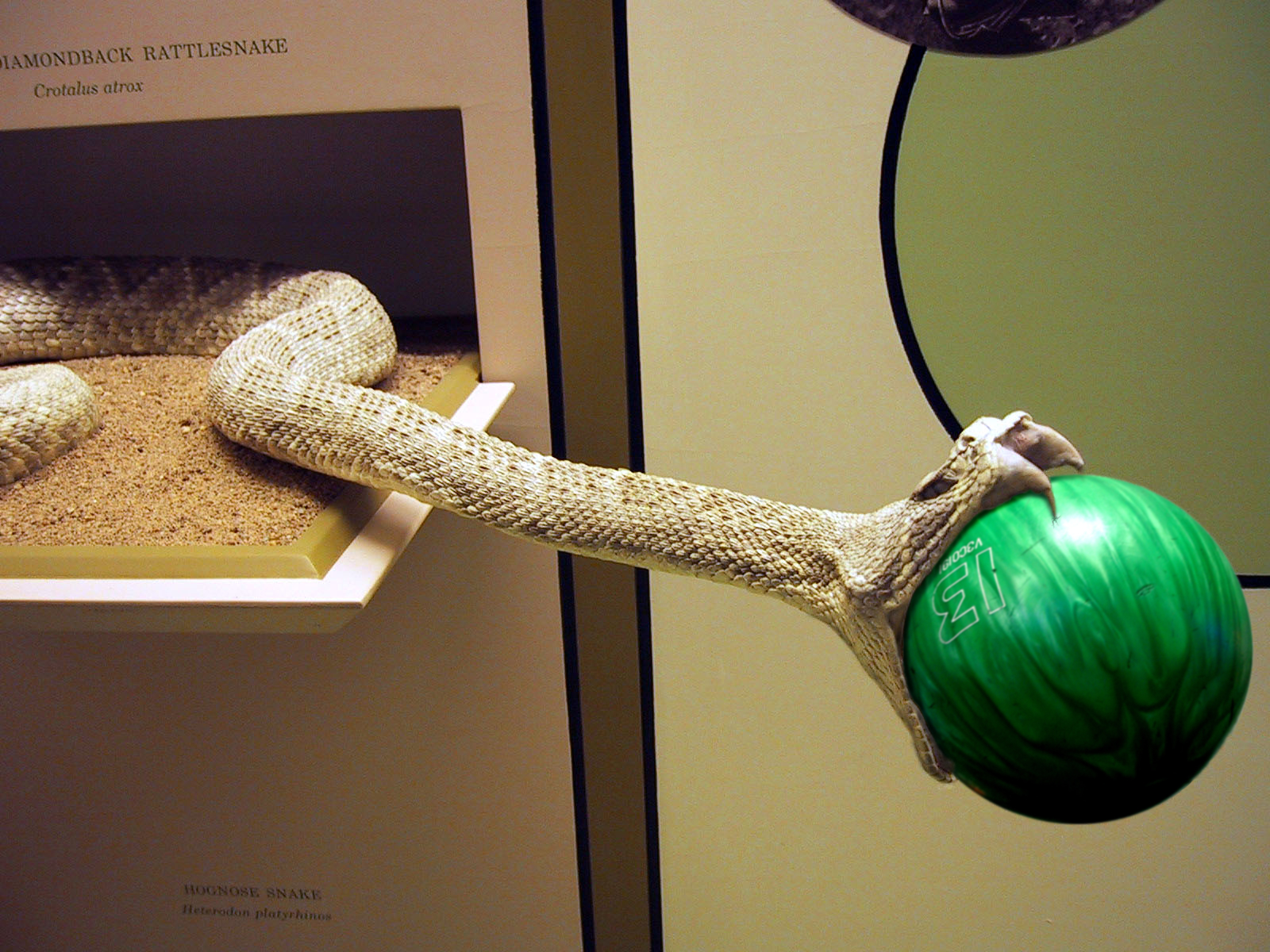 Design Photoshop par Gramlengo pour DesignCrowd (Community Contests) | Design #9071028