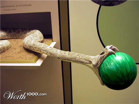 Photoshop Design by Gramlengo