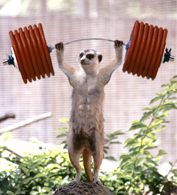 Design Photoshop par godzillatemple pour DesignCrowd (Community Contests) | Design #9071085