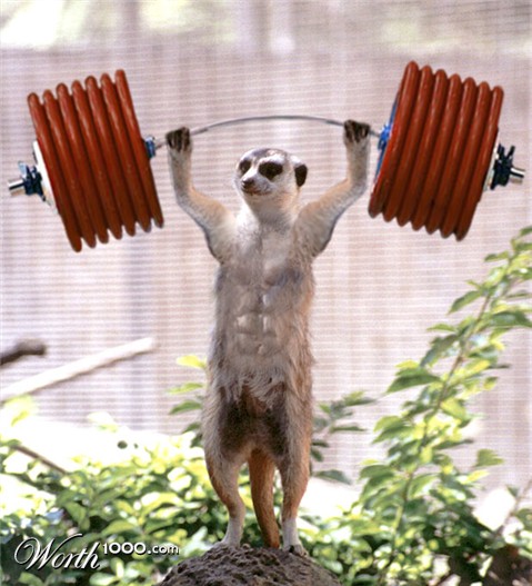 Photoshop Design by godzillatemple