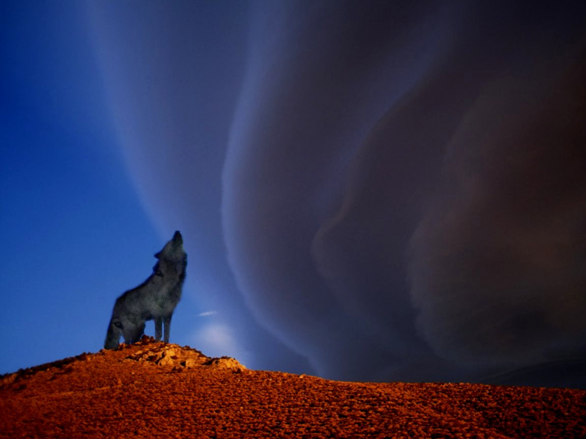 Design Photoshop par yavannilde pour DesignCrowd (Community Contests) | Design #9071093