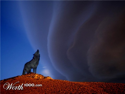 Photoshop Design by yavannilde