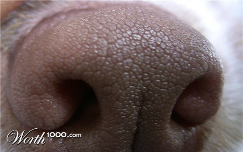 Photography by timboellis2031