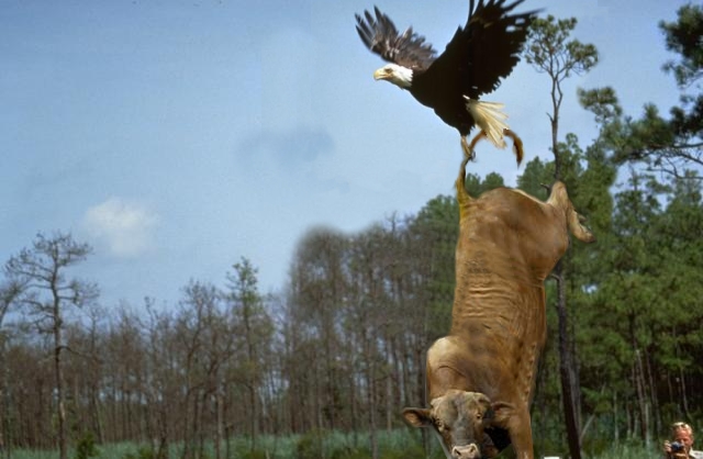 Photoshop-Design von crzyme für DesignCrowd (Community Contests) | Design #9071107