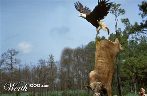 Photoshop Design by crzyme