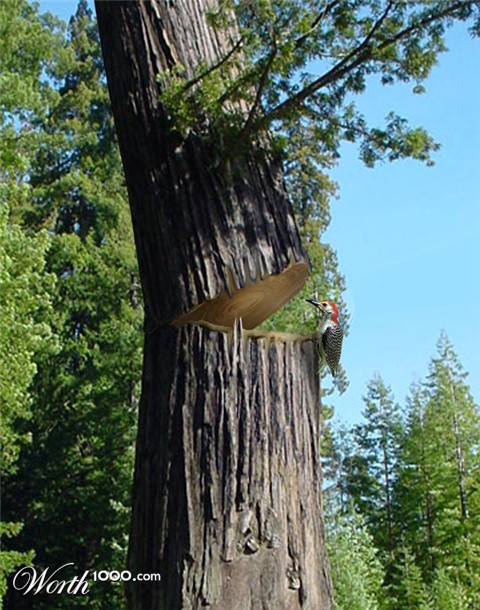 Photoshop Design by DestinationCreation