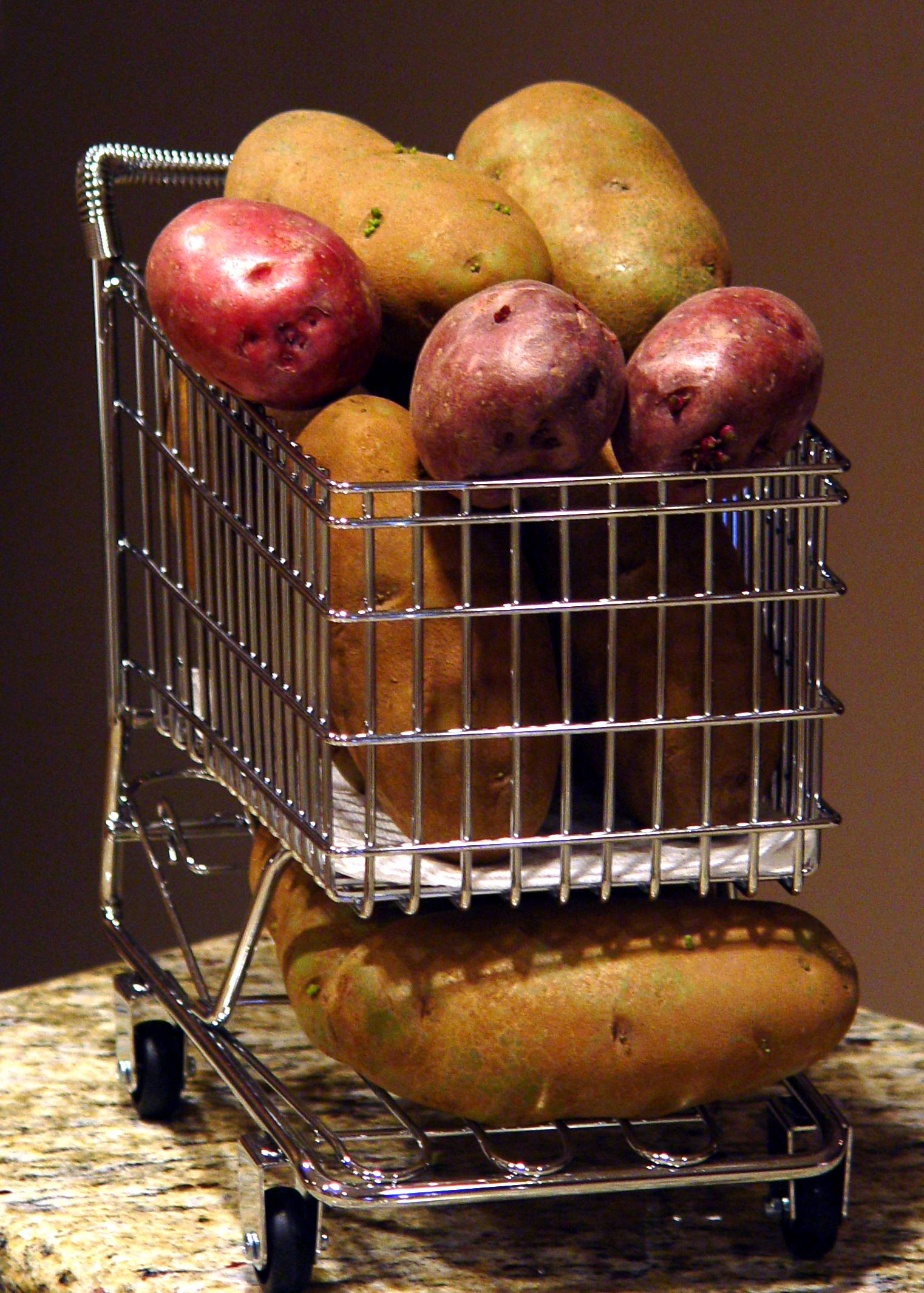 Photography by shutter123 for DesignCrowd (Community Contests) | Design #9091264