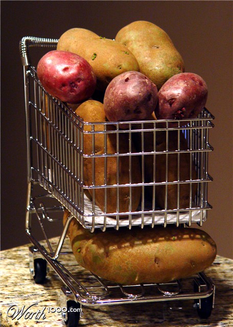 Photography by shutter123