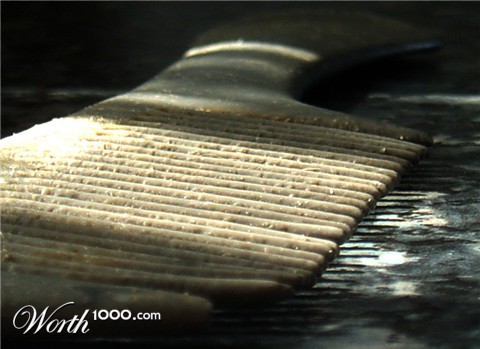 Photography by cmassassin