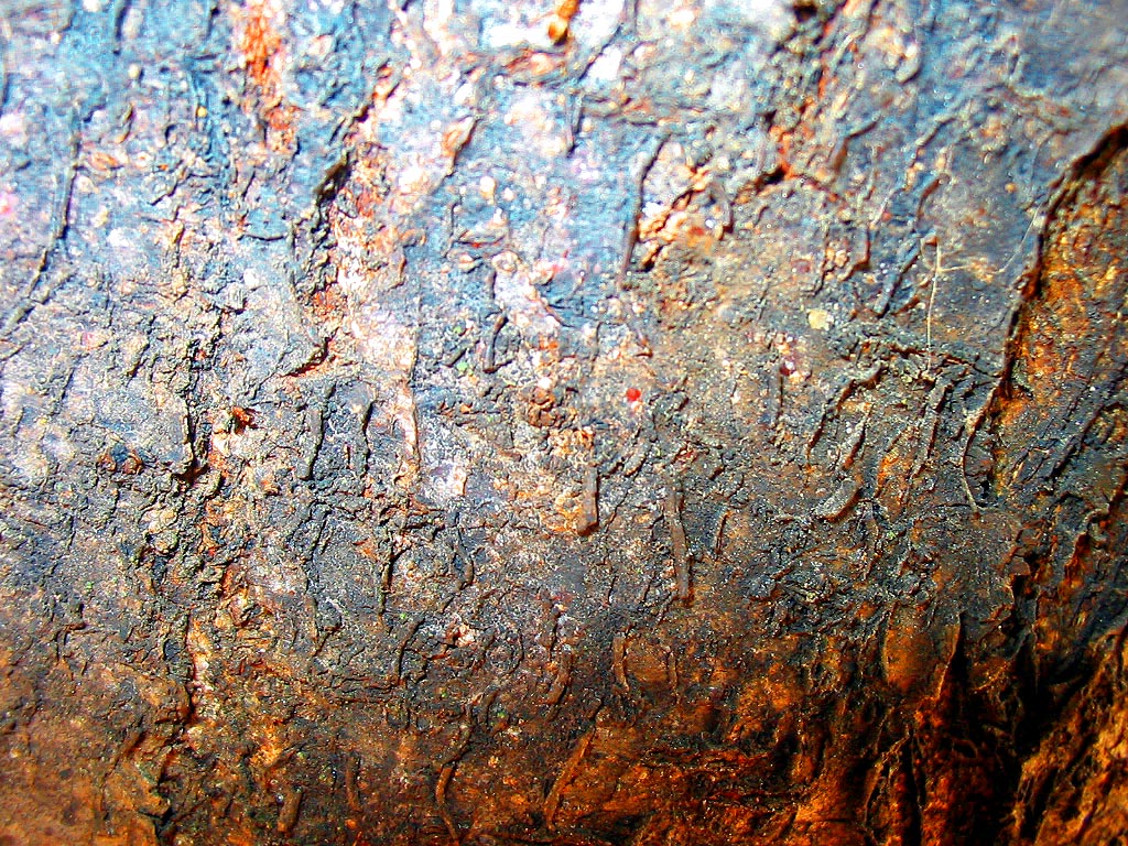 Fotografía por michellu para DesignCrowd (Community Contests) | Diseño #9089039