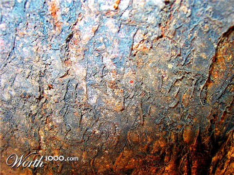 Photography by michellu