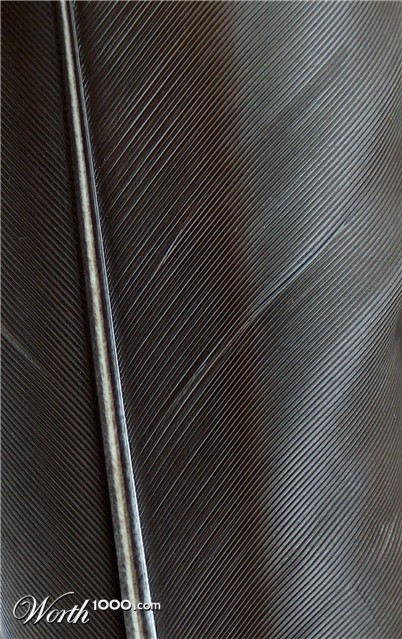 Photography by Xported