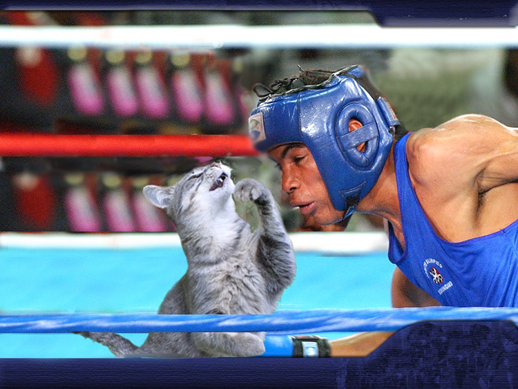 Photoshop Design by lekantonnais for DesignCrowd (Community Contests) | Design #9071074