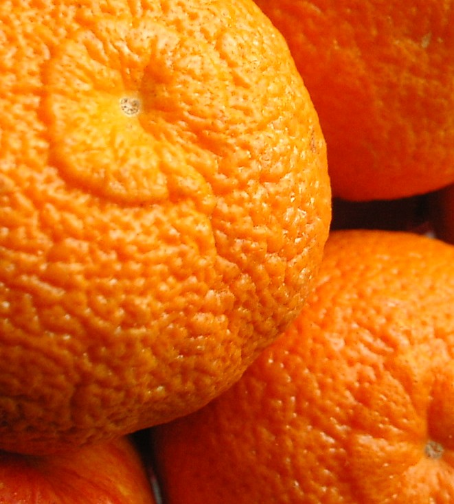 Photography by kremsersenf for DesignCrowd (Community Contests) | Design #9089010