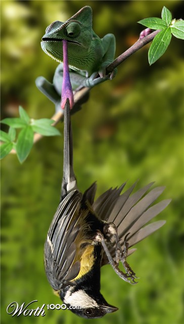 Photoshop Design by DeconstructedHarry