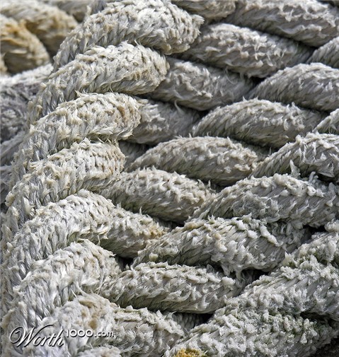 Photography by artissa