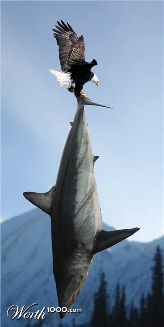 Photoshop Design by piranha