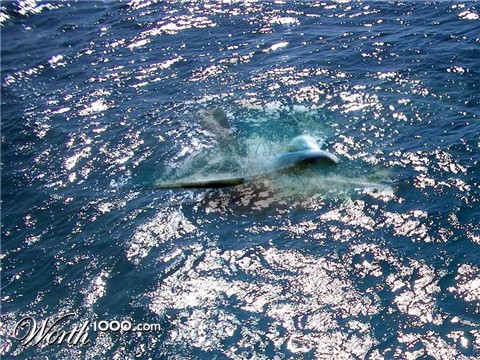 Photoshop Design by JonnyG321