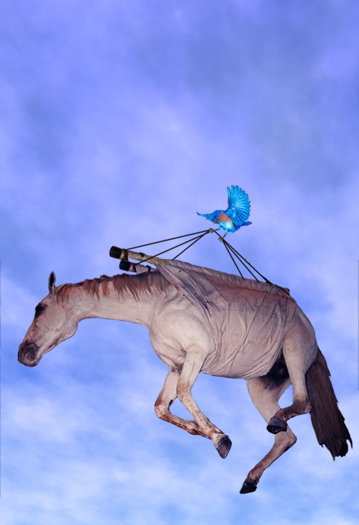 Diseño de Photoshop por narcosleepy para DesignCrowd (Community Contests) | Diseño #9071326