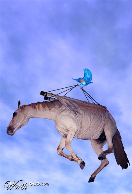 Photoshop Design by narcosleepy